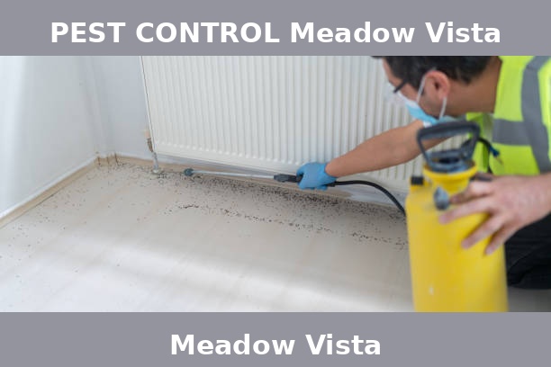 PEST CONTROL Meadow Vista